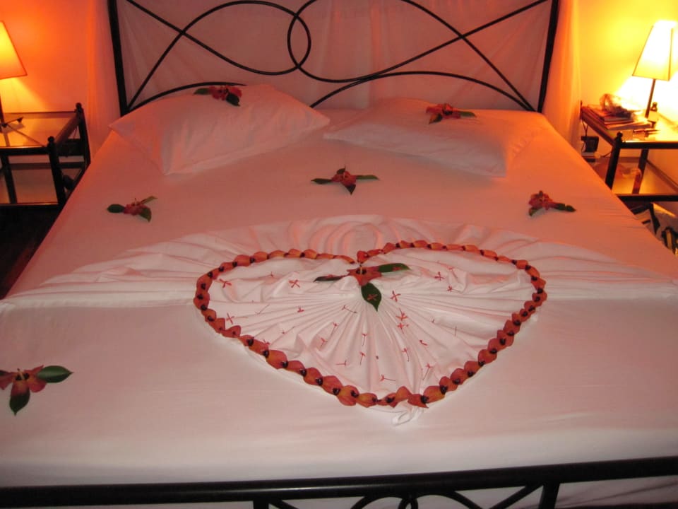 Das war sehr nett NAKAI Maayafushi Resort