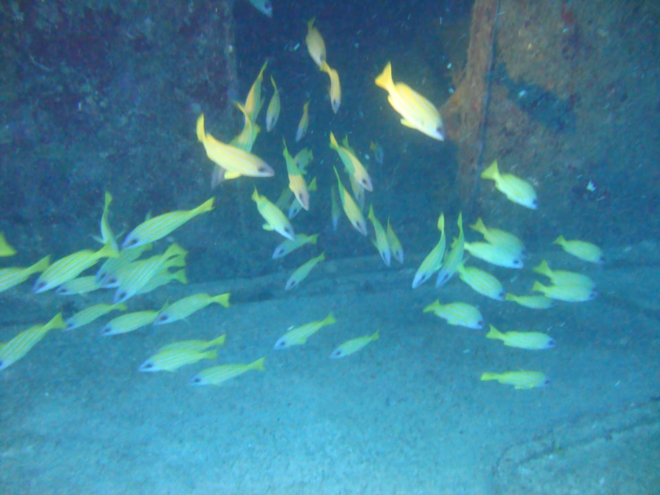 Sport & Freizeit Crystals Beach Resort Belle Mare, a member of Radisson Individuals