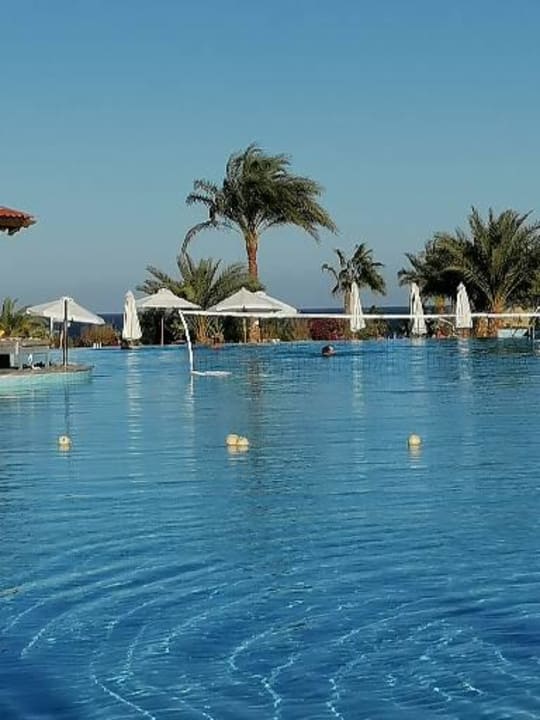 Pool Three Corners Fayrouz Plaza Beach Resort