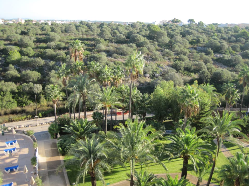 Gartenanlage Grupotel Cala Marsal Nature Hotel