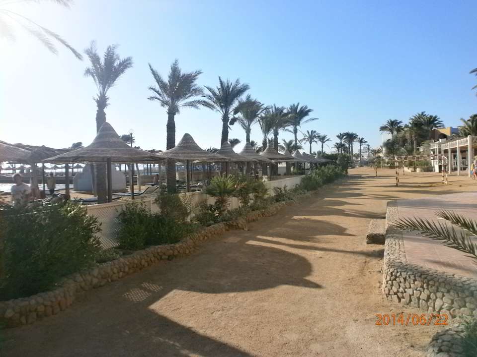 Schön Arabia Azur Resort