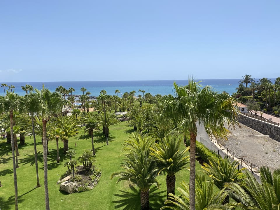 Gartenanlage Hotel Riu Palace Tenerife
