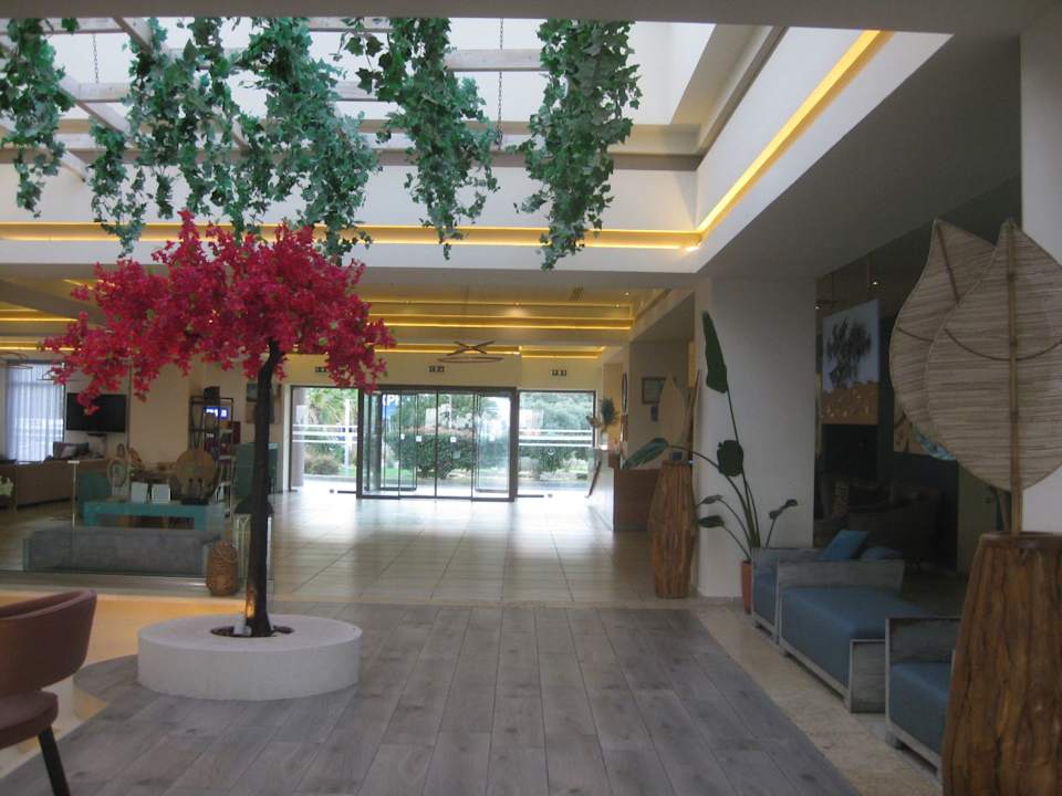Lobby Alea Hotel & Suites