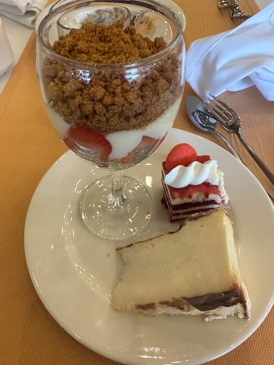 Gastro Seashell Vega