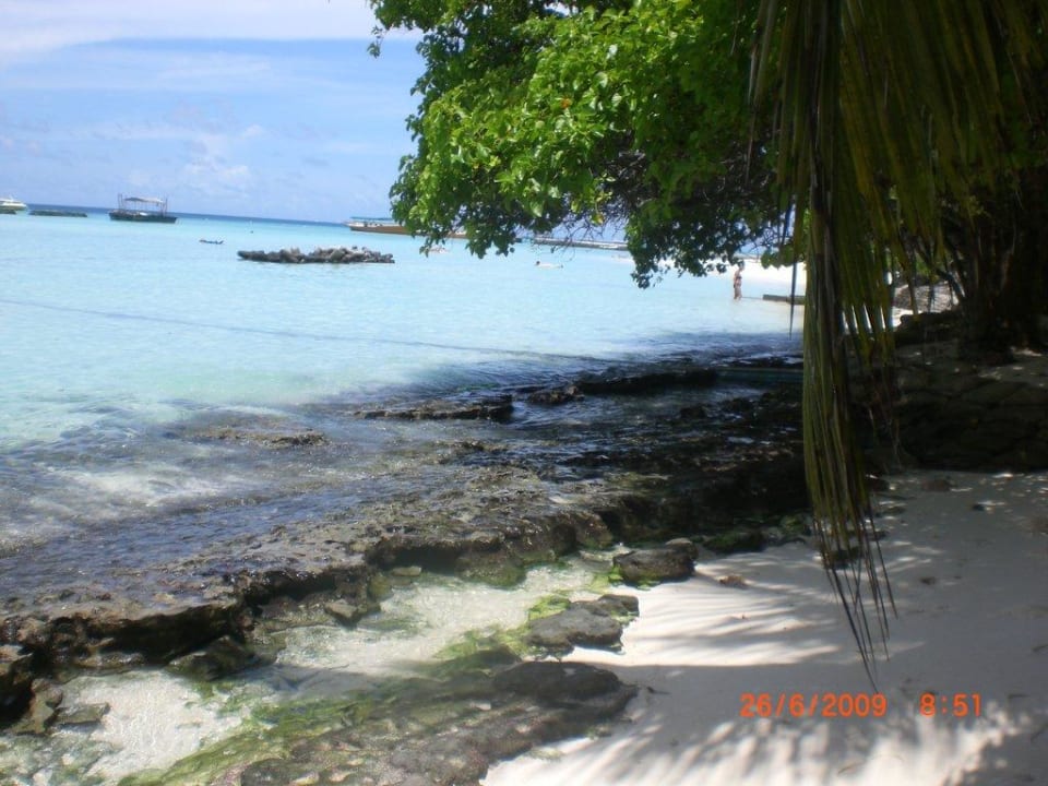 Die Ostseite Summer Island Maldives