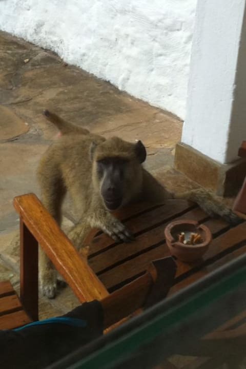 Last mich rein Hotel Papillon Lagoon Reef