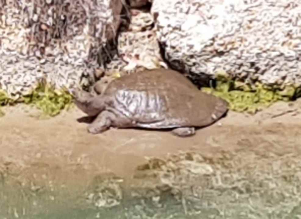 Sonstiges Aydinbey Kings Palace & Spa