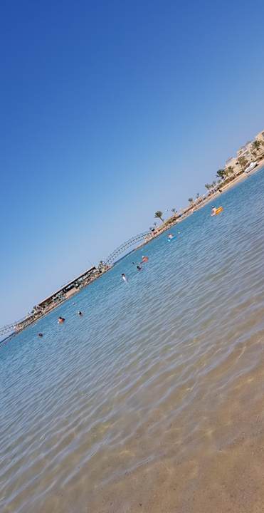 Ausblick Desert Rose