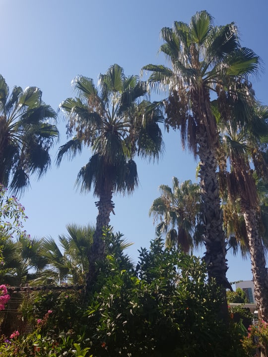 Pool Hane Family Resort