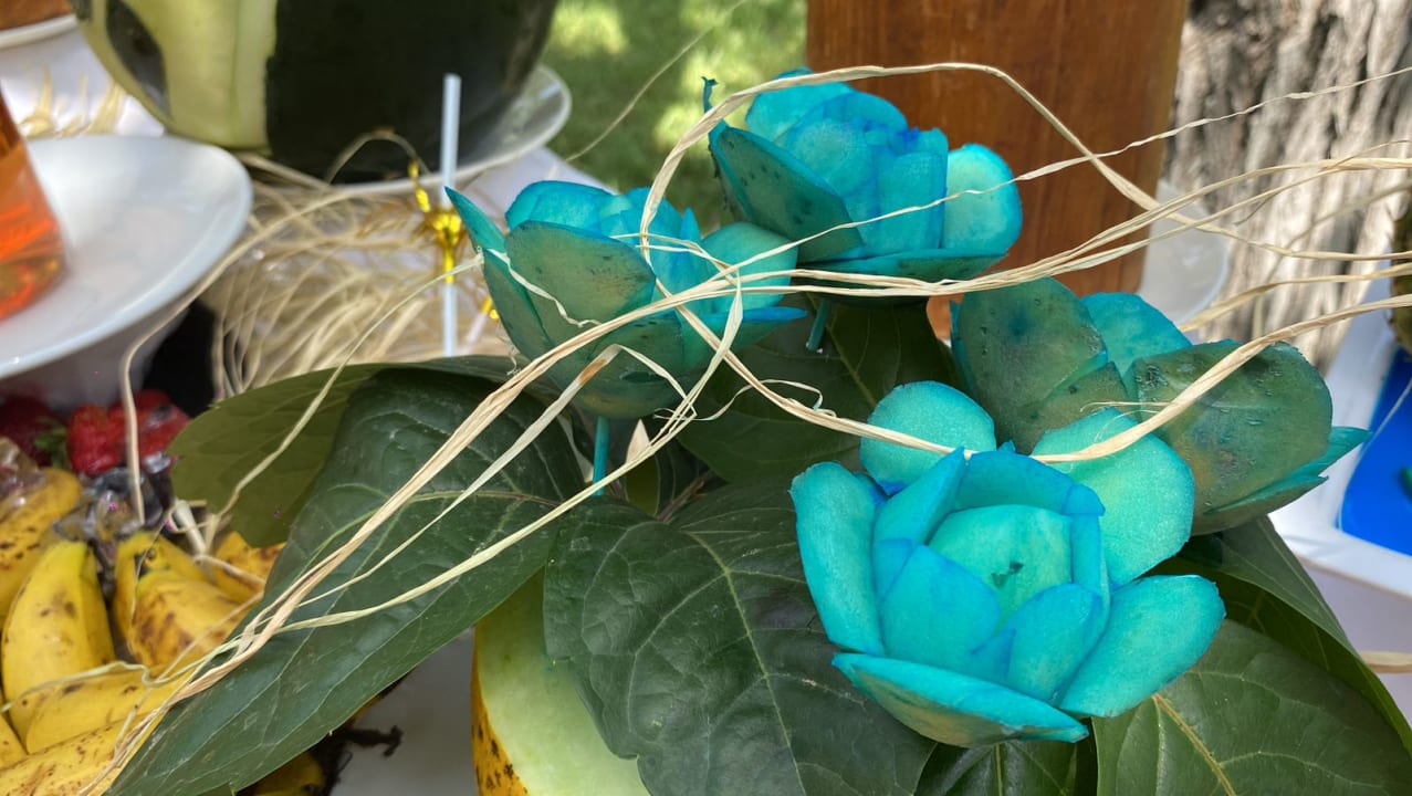 Gastro Hotel Gardenia Beach