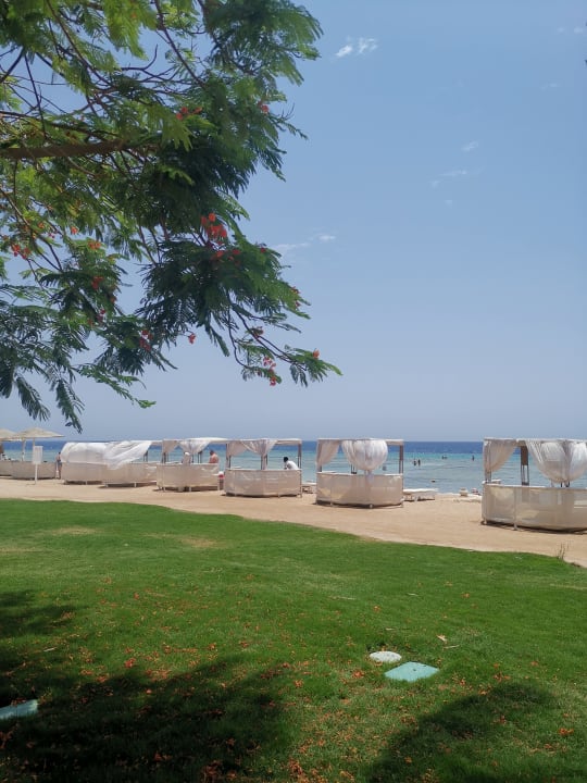 Außenansicht Makadi Spa - Adults only