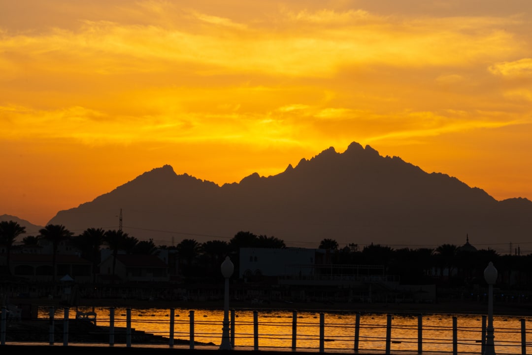 Ausblick Desert Rose