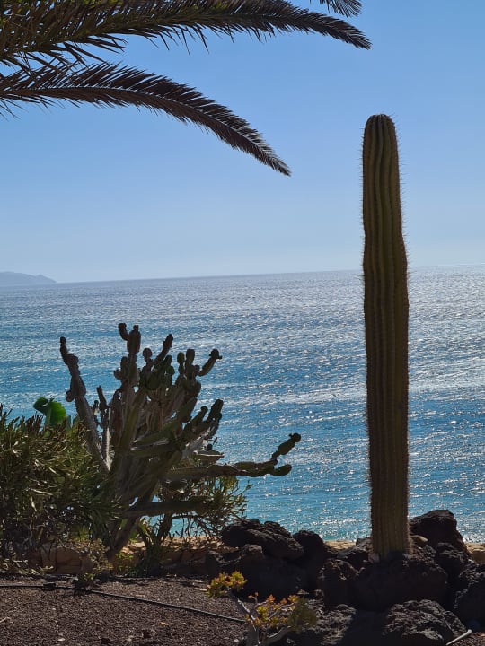 Ausblick R2 Pajara Beach