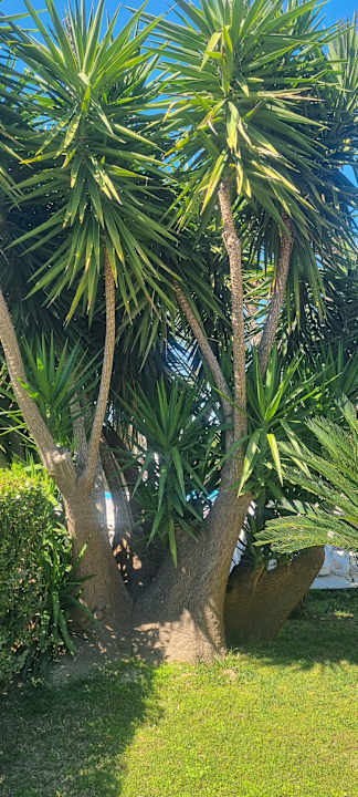 Außenansicht Sunis Kumköy Beach Resort Hotel & Spa