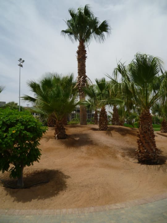 Gartenanlage Steigenberger ALDAU Beach Hotel