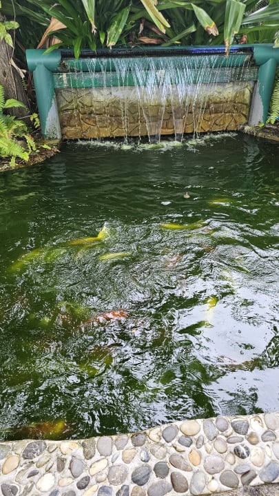 Gartenanlage Thulhagiri Island Resort