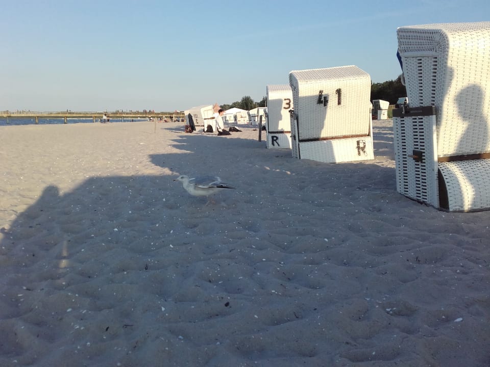 Strand Seehotel Großherzog von Mecklenburg