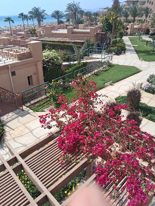 Gartenanlage Shams Prestige Abu Soma-Adults Only