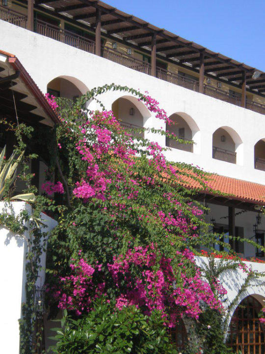 Welch Blütenpracht Creta Maris Resort