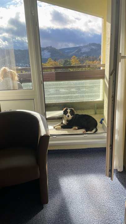 Zimmer AHORN Berghotel Friedrichroda