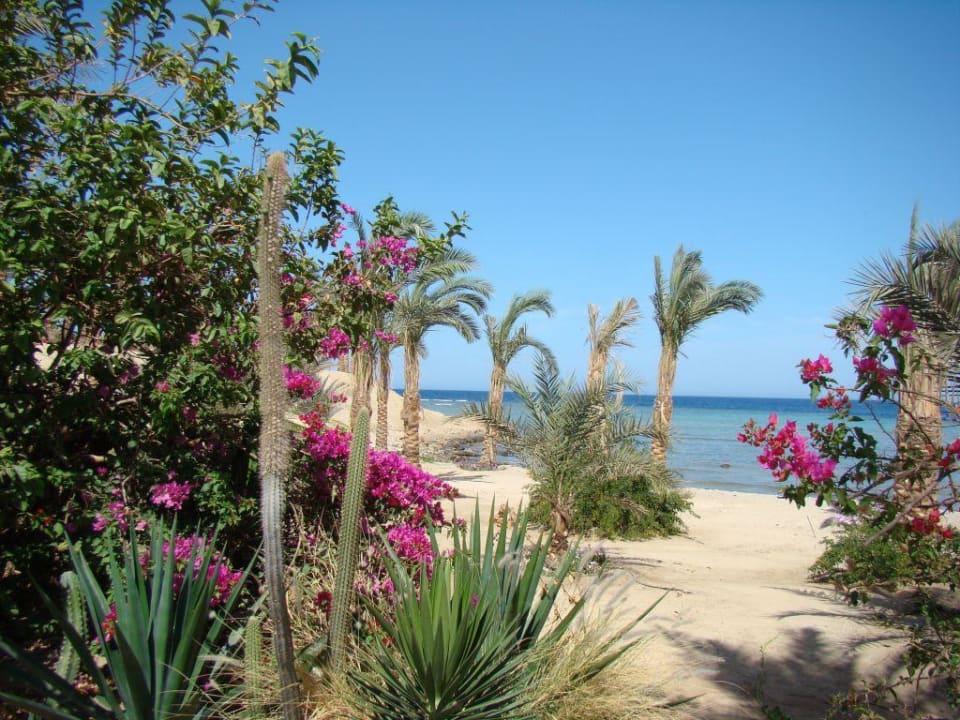 Strandblick Brayka Bay Resort