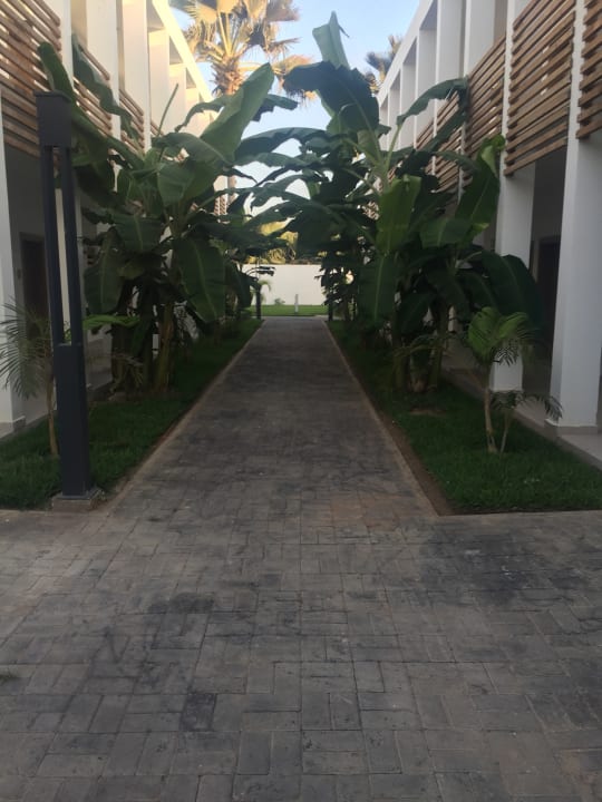 Gartenanlage TUI BLUE Tamala