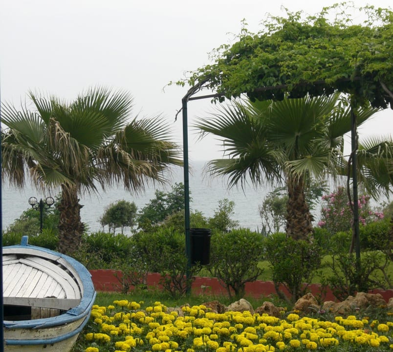 Gartenanlage zum Strand Hotel Turan Prince