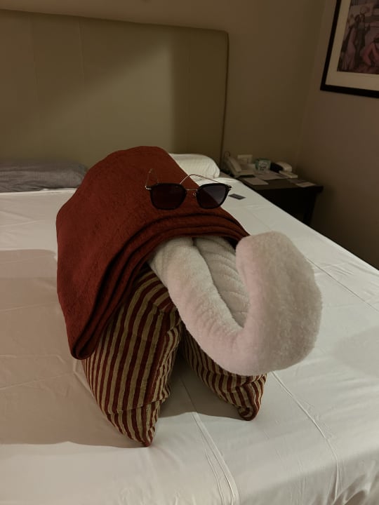 Zimmer Jaz Makadi Oasis Resort