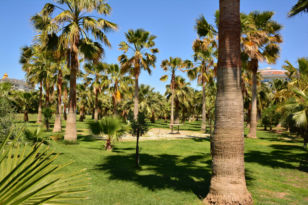 Gartenanlage Seaden Sea World Resort & Spa