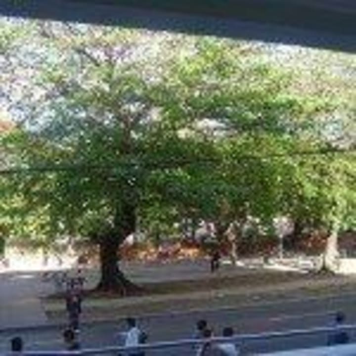 View from Balcony Casa El Violinsta