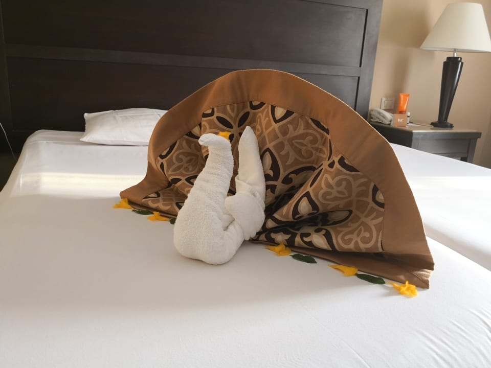 Zimmer Jaz Dar EL Madina