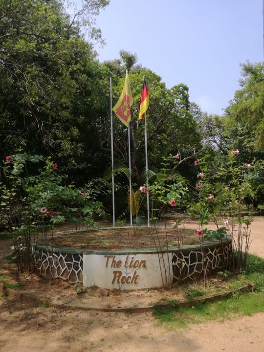 Gartenanlage The Lion Rock  Hotel