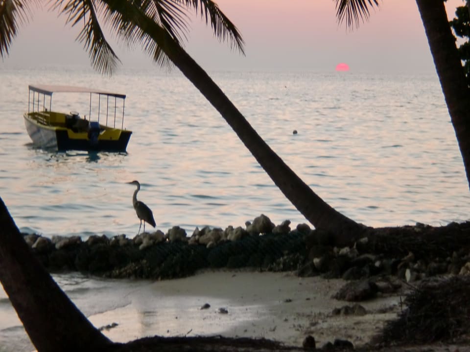 Abendstimmung Fihalhohi Maldives