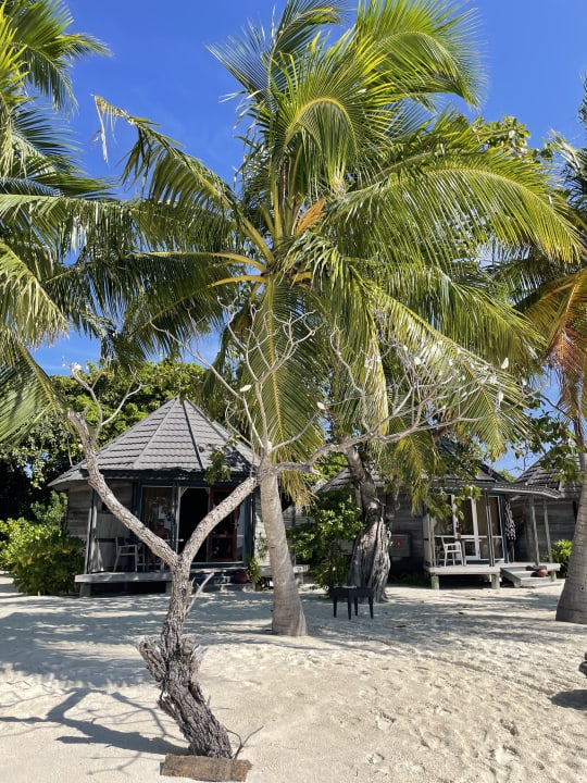Außenansicht Kuredu Island Resort & Spa