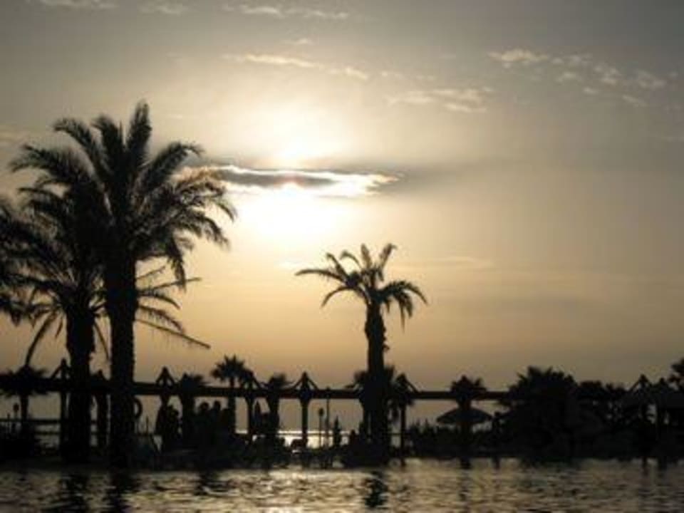 noch mal Abendstimmung am Pool  TUI BLUE Palm Garden