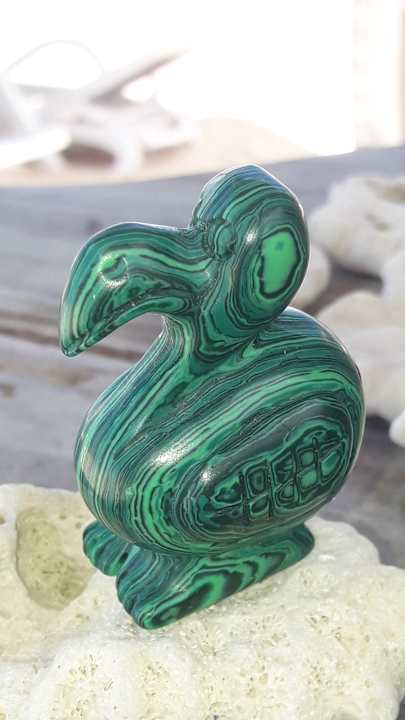 Sonstiges Radisson Blu Poste Lafayette Resort & Spa - Adults only