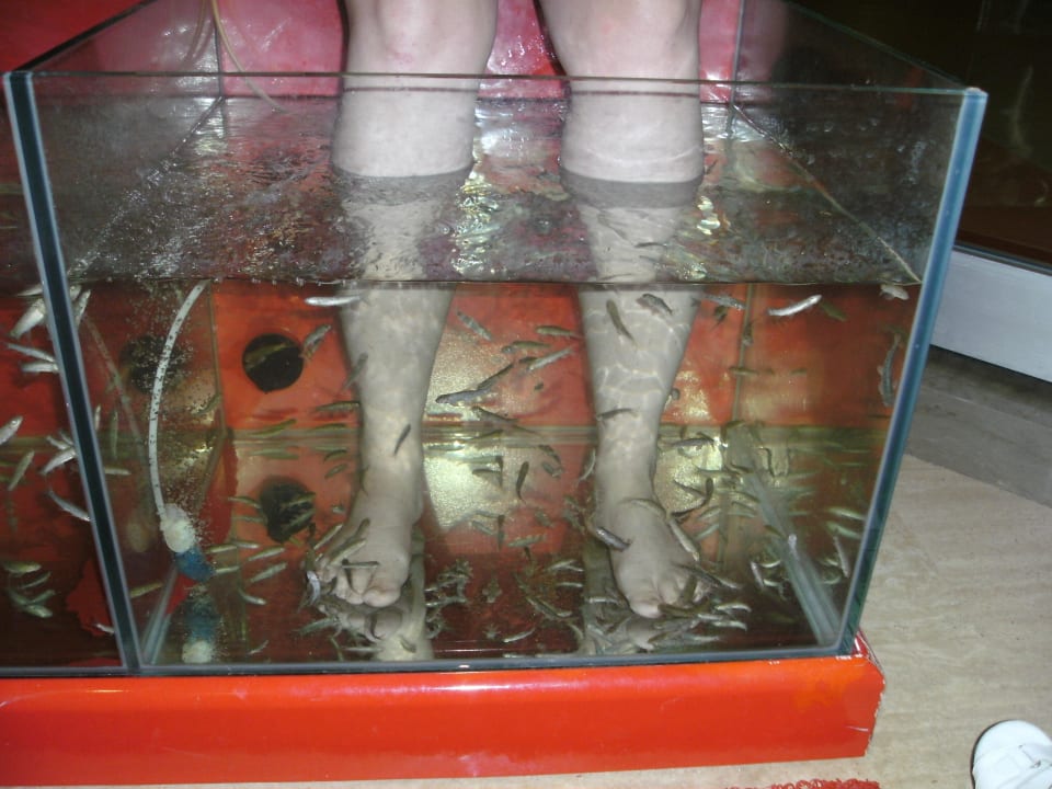 Knabberfische im Spa Bereich Saphir Resort & Spa