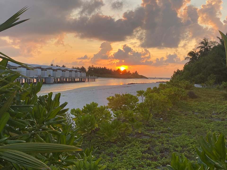 Gartenanlage Cinnamon Hakuraa Huraa Maldives