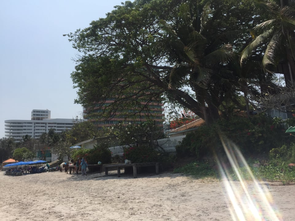 Gartenanlage Sailom Hotel Hua Hin