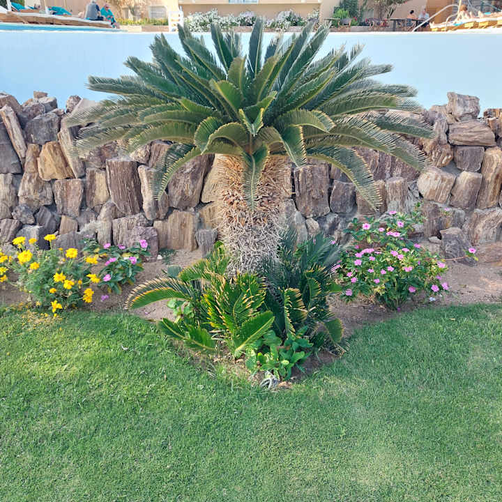 Sonstiges Shams Safaga Resort