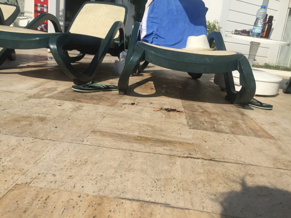 Pool Asteria Collection Side