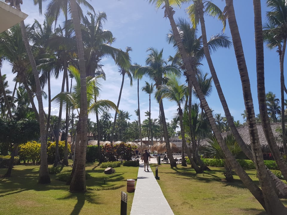 Gartenanlage Hotel Grand Palladium Palace Resort, Spa & Casino