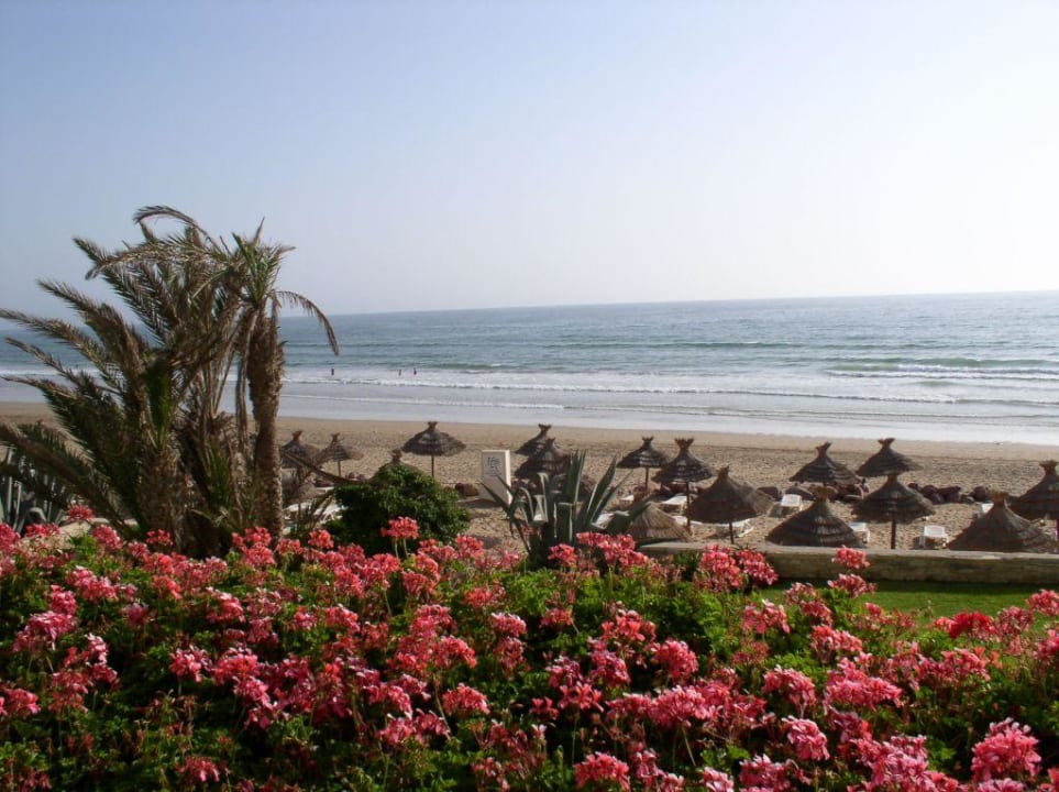 Blick vom Balkon TUI BLUE Riu Tikida Beach