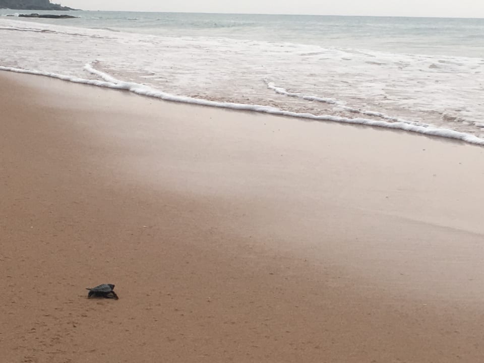 Strand ANANDA Ayurveda Resort