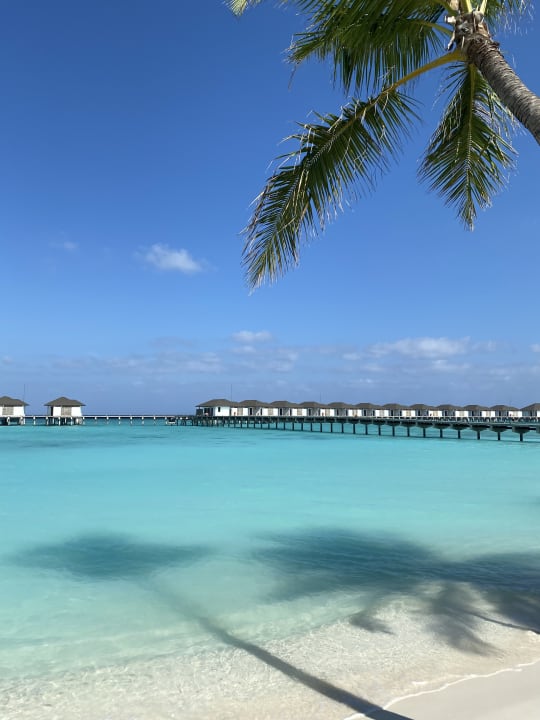Strand ROBINSON NOONU