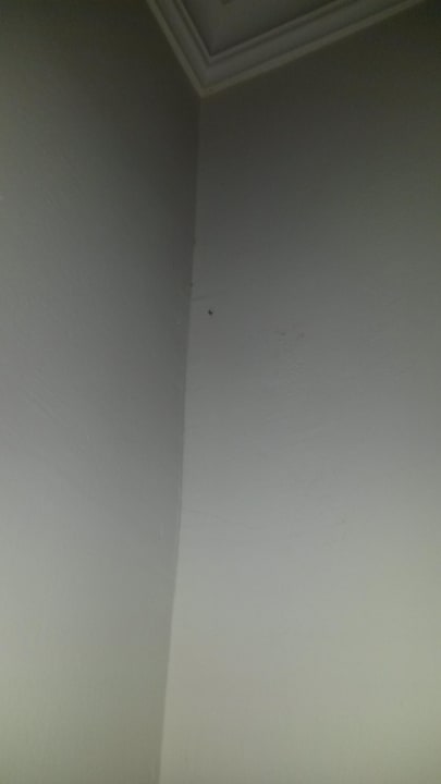 Flecken an der Wand  Sol Cosmopolitan Rhodes