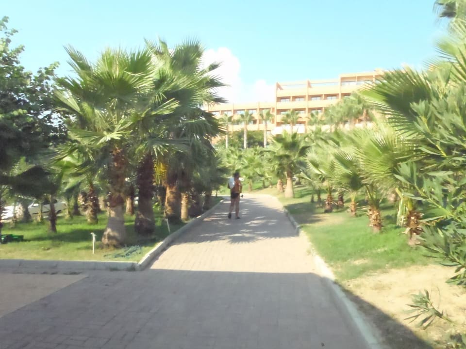 Ein Teil des Weges zum Strand Seaden Corolla Hotel