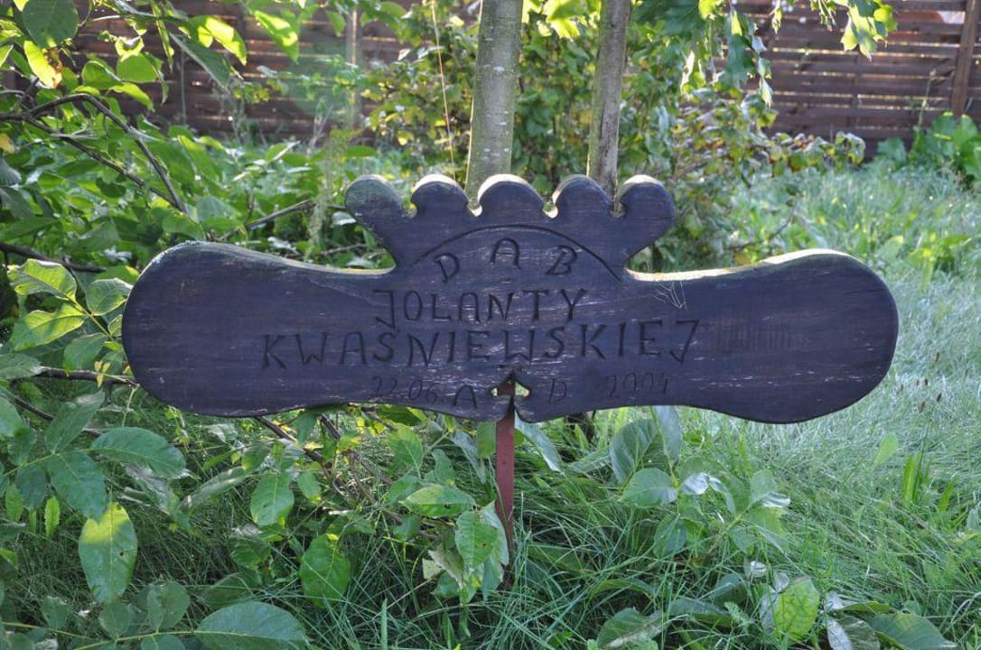 Dąb Gościa hotelowego Dworek nad Łąkami Kiermusy