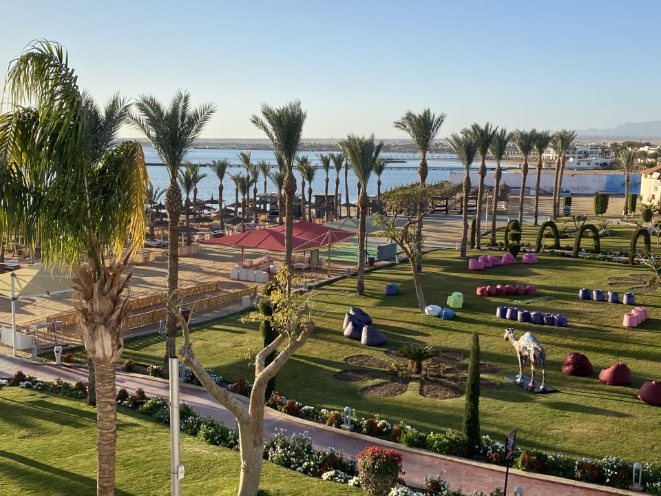Ausblick Pickalbatros Palace Resort