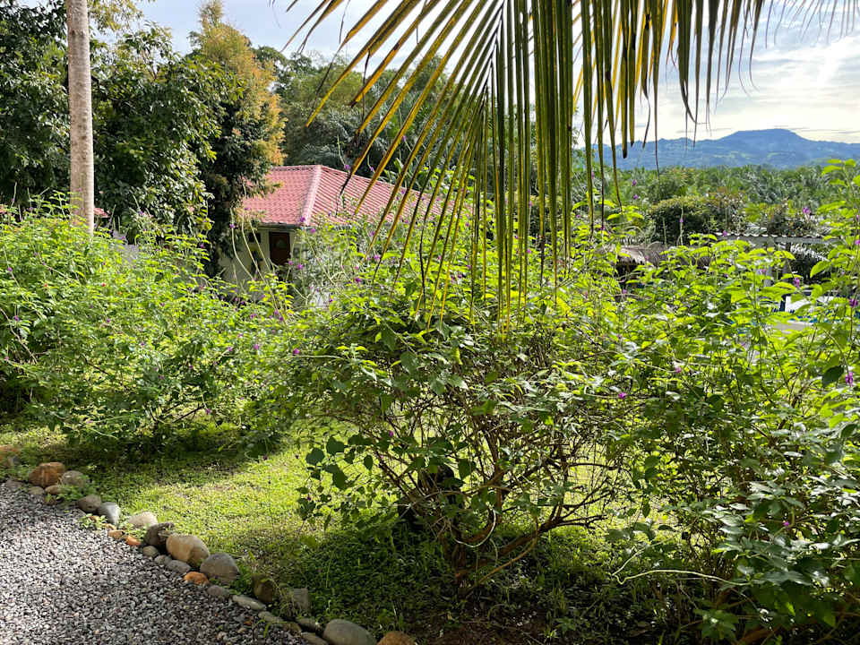 Gartenanlage Magic Mountain Lodge